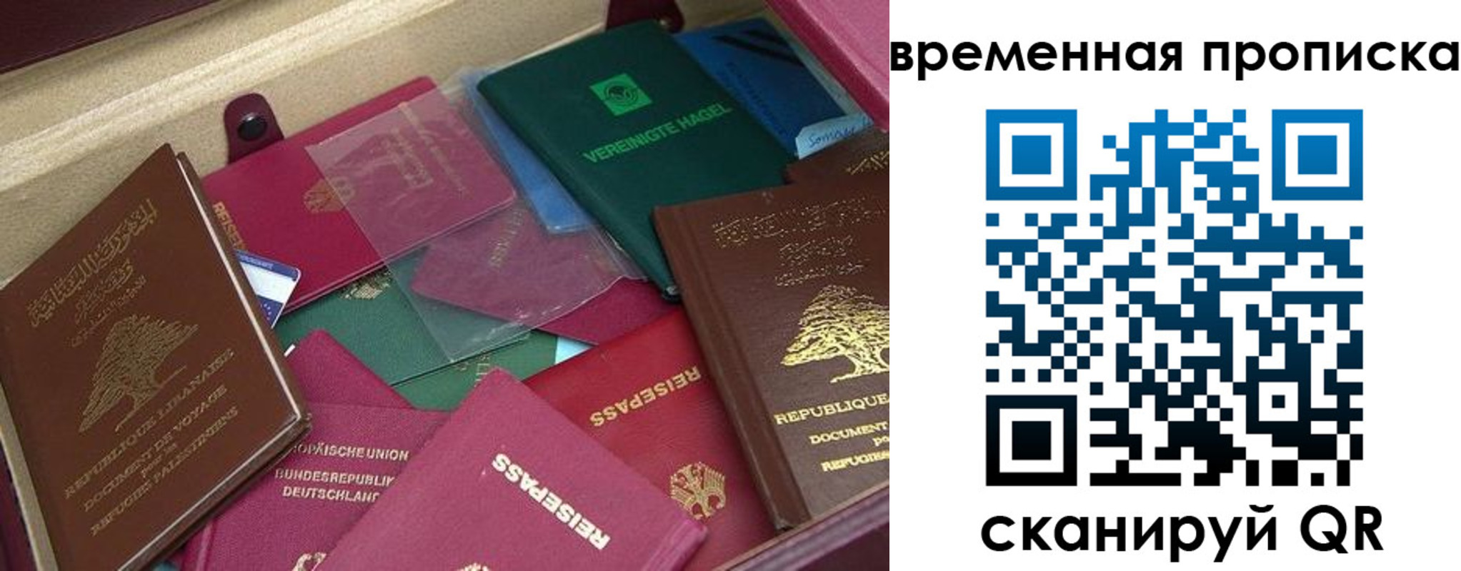 прописка в Дальнегорске